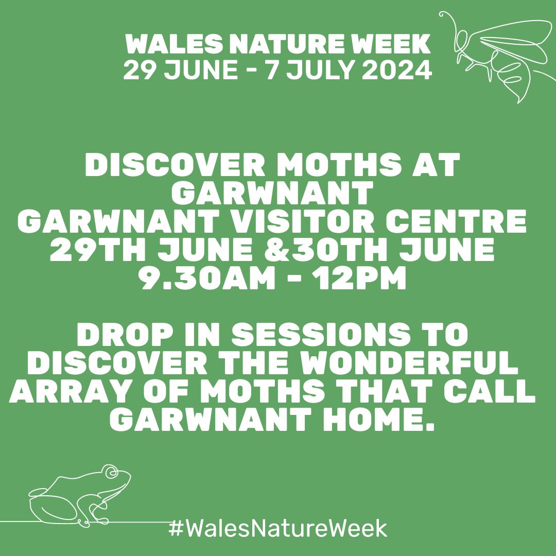 Discover Moths at Garwnant